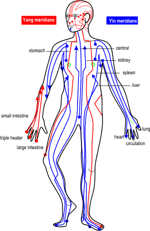 meridians-1