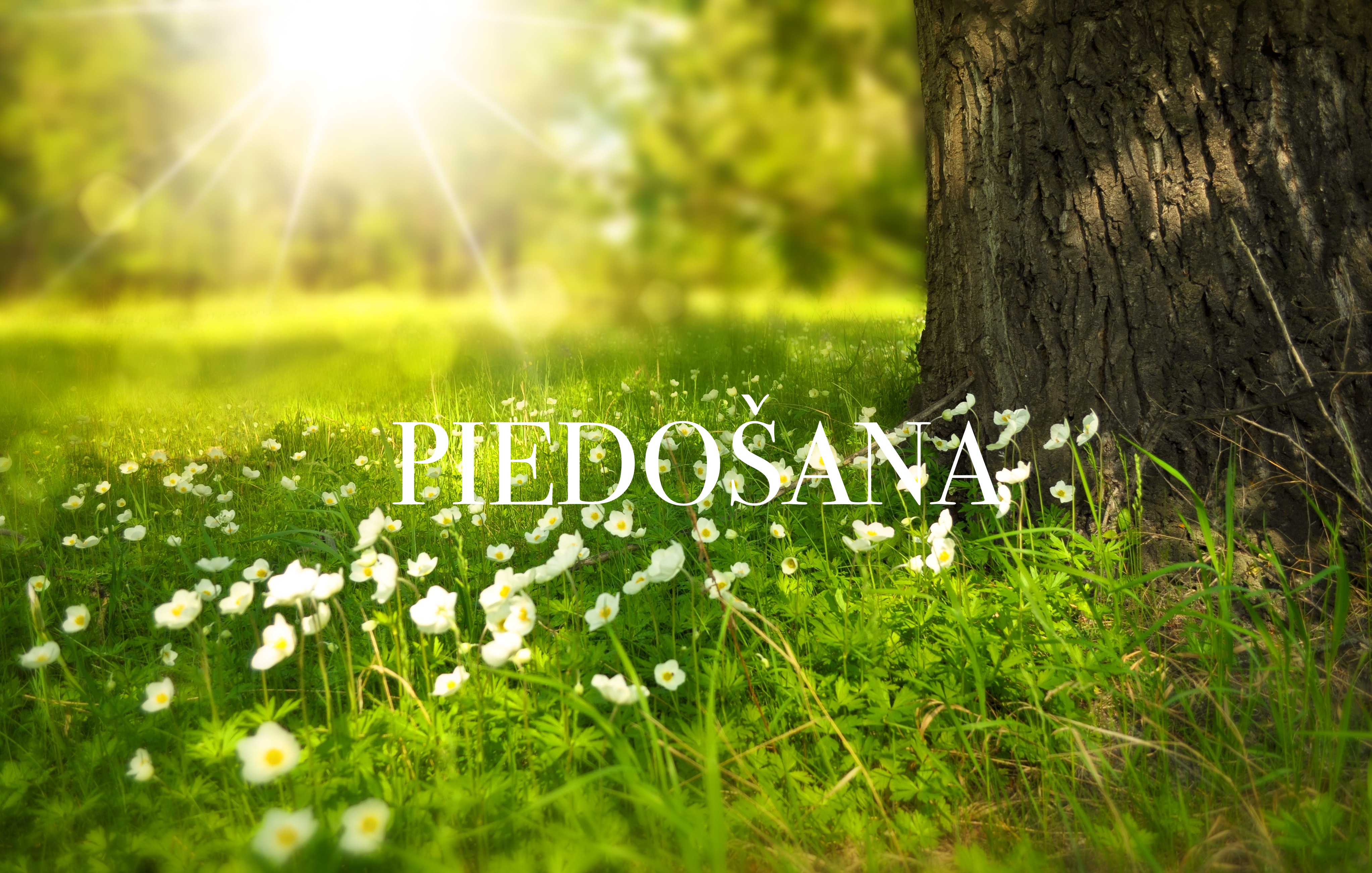 Piedošana ir labākā dāvana, ko varam pasniegt paši sev Piedošana ir labākā dāvana, ko varam pasniegt paši sev