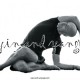 1-YinYoga-Side-Shoelace-Pose-e1354113309865