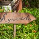 A sign in the garden of Ayurveda in Sri Lanka